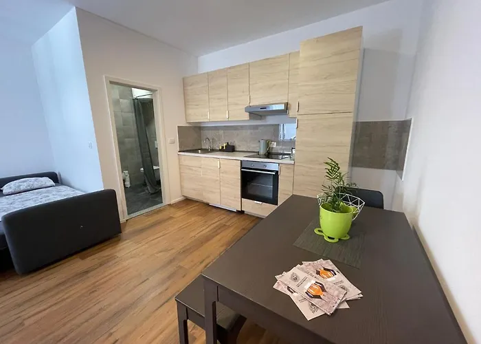 Apartament Ljubljana Studios *